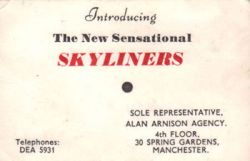 skliners business card